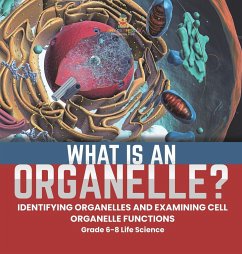 What is an Organelle? Identifying Organelles and Examining Cell Organelle Functions   Grade 6-8 Life Science - Baby