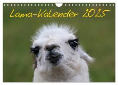 Lama-Kalender 2025 (Wandkalender 2025 DIN A4 quer), CALVENDO Monatskalender