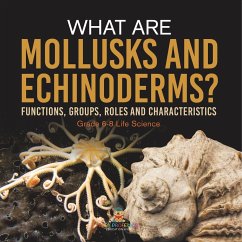 What are Mollusks and Echinoderms? Functions, Groups, Roles and Characteristics   Grade 6-8 Life Science - Baby