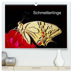 Schmetterlinge (hochwertiger Premium Wandkalender 2025 DIN A2 quer), Kunstdruck in Hochglanz