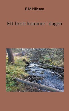 Ett brott kommer i dagen (eBook, ePUB) - Nilsson, Monica