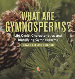 What are Gymnosperms? Life Cycle, Characteristics and Identifying Gymnosperms   Grade 6-8 Life Science - Baby