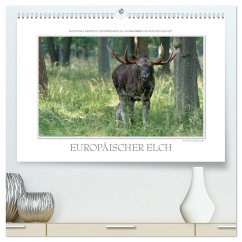 Emotionale Momente: Europäischer Elch. (hochwertiger Premium Wandkalender 2025 DIN A2 quer), Kunstdruck in Hochglanz