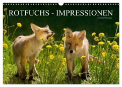 Rotfuchs - Impressionen (Wandkalender 2025 DIN A3 quer), CALVENDO Monatskalender