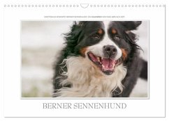 Emotionale Momente: Berner Sennenhund. (Wandkalender 2025 DIN A3 quer), CALVENDO Monatskalender