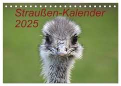 Straußen-Kalender 2025 (Tischkalender 2025 DIN A5 quer), CALVENDO Monatskalender