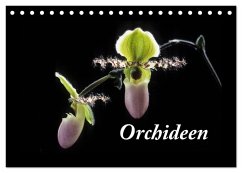 Orchideen 2025 (Tischkalender 2025 DIN A5 quer), CALVENDO Monatskalender - Kleber©Gagelart, Kleber©Gagelart