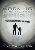 Working in the Realms of Spirit (eBook, ePUB)