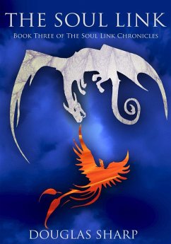 Cover The Soul Link (eBook, ePUB)