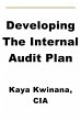 Developing The Internal Audit Plan... - Bild 1