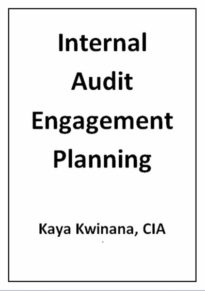 Internal Audit Engagement Planning (eBook, ePUB)