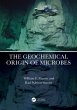 The Geochemical Origin of Microbes... - Bild 1