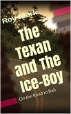 The Texan and The Ice-Boy (eBook, ePUB)