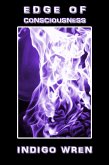 Edge of Consciousness (eBook, ePUB)
