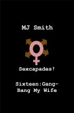 Sexcapades! Sixteen: Gang-Bang My Wife (eBook, ePUB)