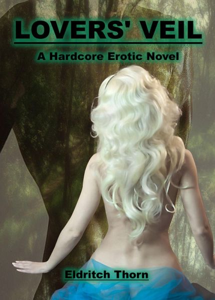 Lovers' Veil (eBook, ePUB)