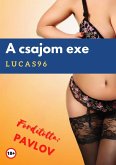 A csajom exe (eBook, ePUB)