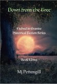 Down from the Tree: Etched in Granite Historical Fiction Series - Book Three (eBook, ePUB)