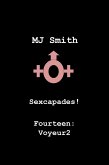 Sexcapades! Fourteen: Voyeur2 (eBook, ePUB)