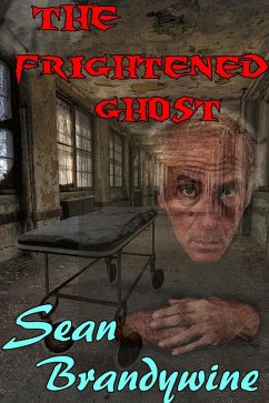 The Frightened Ghost (eBook, ePUB) - Brandywine, Sean