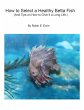 How to Select a Healthy Betta Fish and... - Bild 1