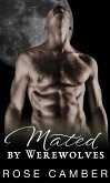 Mated by Werewolves: Gay Monster Erotica (Monsters & Men: Gay Erotica, #6) (eBook, ePUB) Mated by Werewolves: Gay Monster Erotica (Monsters & Men: Gay Erotica, #6) (eBook, ePUB)