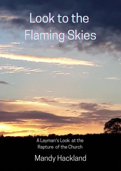 Look to the Flaming Skies (Choose Life!, #1) (eBook, ePUB) - Hackland, Mandy