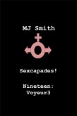 Sexcapades! Nineteen: Voyeur3 (eBook, ePUB)