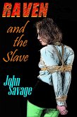 Raven and the Slave (eBook, ePUB)