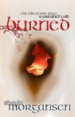 Burned (eBook, ePUB)