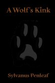 A Wolf's Kink (eBook, ePUB)