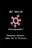 Sexcapades! Twenty-Seven: Sex At A Picnic (eBook, ePUB)