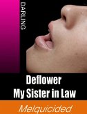 Deflower My Sister in Law (eBook, ePUB)
