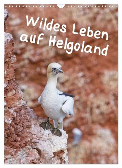 Wildes Leben auf Helgoland (Wandkalender 2025 DIN A3 hoch), CALVENDO Monatskalender