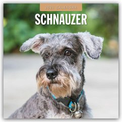 Schnauzer 2025 - 16-Monatskalender - Red Robin Publishing Ltd