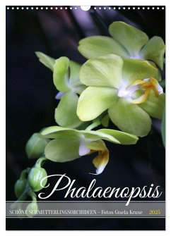 Phalaenopsis - Schöne Schmetterlingsorchideen (Wandkalender 2025 DIN A3 hoch), CALVENDO Monatskalender