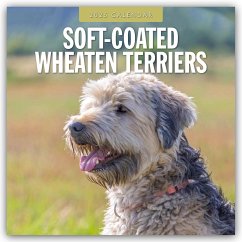 Soft-Coated Wheaten Terriers - Soft-Coated Wheaten Terrier 2025 - 16-Monatskalender - Red Robin Publishing Ltd