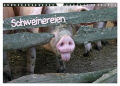 Schweinereien (Wandkalender 2025 DIN A4 quer), CALVENDO Monatskalender