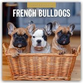 French Bulldogs 2025 Square Wall Calendar French Bulldogs 2025 Square Wall Calendar