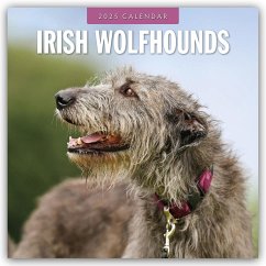 Irish Wolfhounds - Irischer Wolfshund 2025 - 16-Monatskalender - Red Robin Publishing Ltd