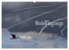 Modellflugzeuge Nr. 1 / 2025 (Wandkalender 2025 DIN A2 quer), CALVENDO Monatskalender - Calvendo;van Veenendaal Fotografie vv-design.com, Nik