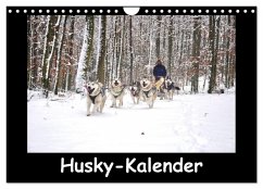 Husky-Kalender (Wandkalender 2025 DIN A4 quer), CALVENDO Monatskalender - Calvendo;andiwolves