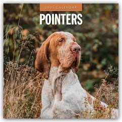 Pointers - Vorstehhund - Pointer 2025 - 16-Monatskalender - Red Robin Publishing Ltd