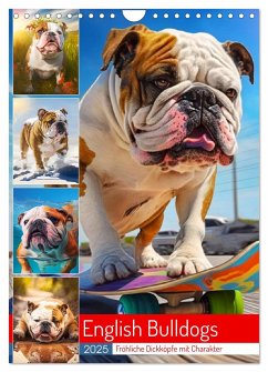 English Bulldogs. Fröhliche Dickköpfe mit Charakter (Wandkalender 2025 DIN A4 hoch), CALVENDO Monatskalender