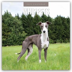 Whippets - Whippet - Britischer Windhund 2025 - 16-Monatskalender - Red Robin Publishing Ltd