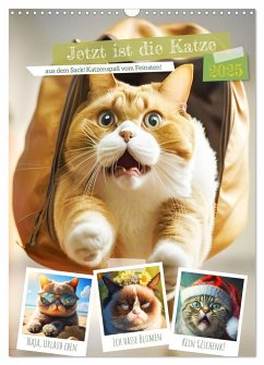 Jetzt ist die Katze aus dem Sack! Katzenspaß vom Feinsten! (Wandkalender 2025 DIN A3 hoch), CALVENDO Monatskalender