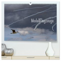 Modellflugzeuge Nr. 1 / 2025 (hochwertiger Premium Wandkalender 2025 DIN A2 quer), Kunstdruck in Hochglanz - Calvendo;van Veenendaal Fotografie vv-design.com, Nik