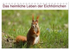 Das heimliche Leben der Eichhörnchen (Tischkalender 2025 DIN A5 quer), CALVENDO Monatskalender - Calvendo;Kattobello