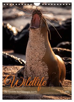 Wildlife - Die Tierwelt der Galapagos Inseln (Wandkalender 2025 DIN A4 hoch), CALVENDO Monatskalender