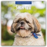 Shih Tzu 2025 - 16-Monatskalender